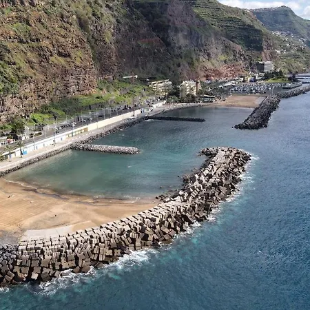 Sea And Sun 4 - Jardins Da Imperatriz Funchal (Madeira)
